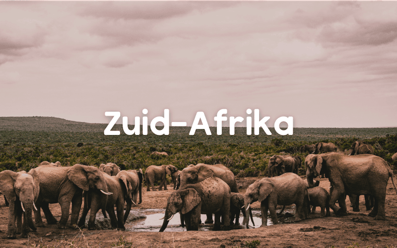 Zuid-Afrika bestemmingen home